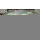 Sell Tyvek Rear Sunshade thumbnail-1