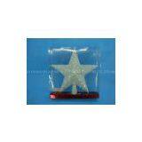 CHRISTMAS STAR HH-6932 thumbnail-1