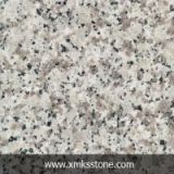 G439 Big White Flower Grey Granite(Slab, Flooring Tile or Wall Tile, Countertop and Vanity Top)