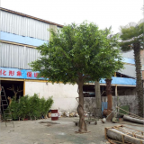 Artificial Plant Banyan Tree Decoration With Silk Cloth Leaves