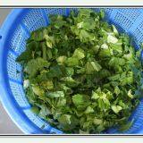 Ozone Vegetable Washing Machine thumbnail-3