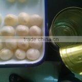 Canned Lychees in Syrup(NEW SEASON ) thumbnail-1