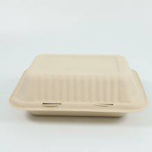 Disposable Lunch Box Salad Box Burger Box