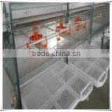 Hot Sale of Cage of Baby Chicken/New Type Broiler Chicken Cage thumbnail-3