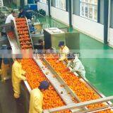 1 Tons Tomato Jam Production Line