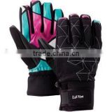 Ski Glove / Sports Glove / Winter Glove