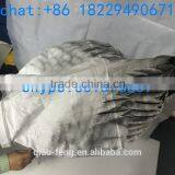 2016 New Style Hot-selling Half Wing Decoy for Hunting