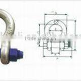 US Type Drop Forged Bolt Type Bow Shackle thumbnail-4