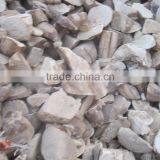 Tapioca Chips in Vietnam _ QQ : 2598494113 thumbnail-3