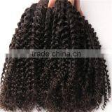 Brazilian Virgin Hair 6A Water Wave 4pcs /lot Brazilian Hair Bundles Remy Human Hair Water Wave thumbnail-5