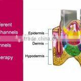 Body Slimming Non Invasive Body Slimming Weight Loss Machine 4 Handpiece Cryolipolysis Fat Freezing Machine thumbnail-6