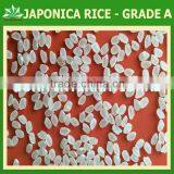 HOT SALES !!! CHEAPEST JAPONICA/ROUND WHITE RICE 5% BROKEN thumbnail-1