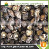 Frozen Cultivated Sliced Shiitake Mushroom thumbnail-2