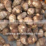 New Arrival China Fresh Taro Low Price Mesh Bag