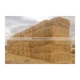 Wheat Straw, Hay Straw, Hay Bale, Straw Hay Bale, Wheat Straw Hay, Cattle Feed Straw thumbnail-1
