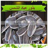 Bulk Organic Sunflower Seeds