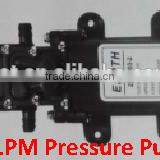 ILot 5.5LPM Agricultural Gardening Sprayer Pressure Pump