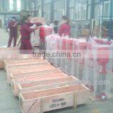 Vertical Multi-stage Centrifugal Pump thumbnail-3