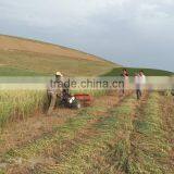 Agricultural 4GL120 Rice Reaper Head thumbnail-2