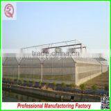 China Supplier Multi-span Agricultural Plastic Film Greenhouse for Sale thumbnail-3