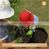 DIY Horizontal Polyester Felt Grow Bag,kids Homeyard Nonwoven Felt Planter Bag thumbnail-1