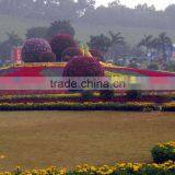 Big Outdoor Tall Plastic Decorative Flower Pots thumbnail-4