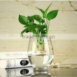 Flower Vase Glass Glass Bottle Flower Vase Clear Tall Glass Flower Vase thumbnail-1