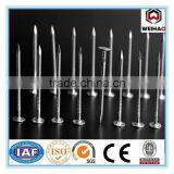 Good Quality Cupper Nails (factory) thumbnail-1