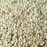 2017 New Crop Whitish Sesame Seeds thumbnail-2