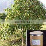 BOSWELLIA DRY EXTRACT thumbnail-4