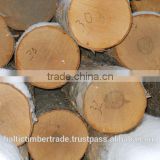 Inquiry about Baltic Birch logs from Russia, ABC mix