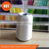 100 Polyester Bleach Embroidery Thread