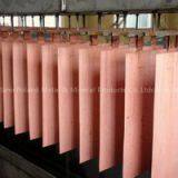 Copper Cathodes, Copper Coils, Copper Sheets, Copper Scraps.