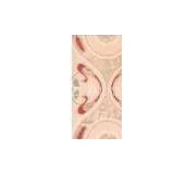 Porcelain Wall Tile thumbnail-1