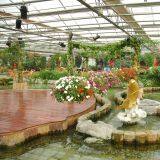 Ultra Clear Glass Greenhouse for Horticulture/Garden/Hydroponic Farming thumbnail-3