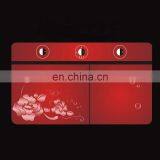 Customized Pattern Silk Screen Printing Tempered Glass Panel for Washing Machine thumbnail-2