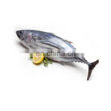 Good Price Delicious Healthy Fish Vacuum Packaging Frozen Seafood IQF thumbnail-5