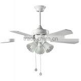 Ceiling Fan Light Fan Ceiling Lighting Ceiling Fans and Lighting thumbnail-1