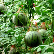 Made in China Poly Mesh Net Packing Bag for Fresh Fruit Apple Orange Pear Net Mesh Fruit Packaging Bags thumbnail-5