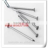 High Quality Low Price Common Nail Factory Produce Common Iron Nail thumbnail-1