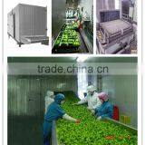 IQF Tunnel Quick Freezer