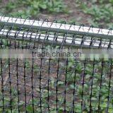 Heavy duty fruit cage side netting,80gsm,2m width,20mm x 20mm hole size