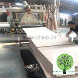 Wholesale Plywood Supplier Keruing Veneer Shipping Container Plywood thumbnail-6