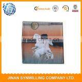 Printed Decorative Cushion Cover Throw Pillow Case Custom Cushion Cover