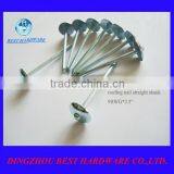 Galvanized Umbrella Head Nails thumbnail-1