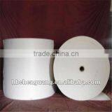 Polyester-Mat 250g/m2