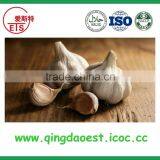 Top Quality Factory Price Fresh White Garlic thumbnail-3