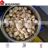 IQF Grade B Frozen Chestnut Kernel thumbnail-2
