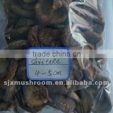 2014 New Promotion dried shiitake mushroom