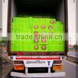 Wax Matchboxes for Mexico Market at Strike Gently